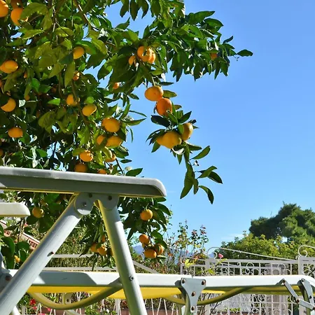 Laidback - One Bedroom With Balcony And Sea View Lavander Orebić