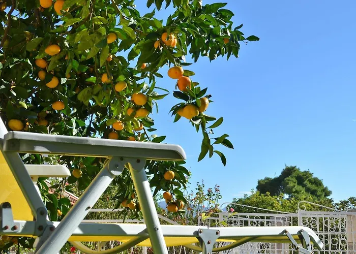 Laidback - One Bedroom With Balcony And Sea View Lavander 奥瑞比克